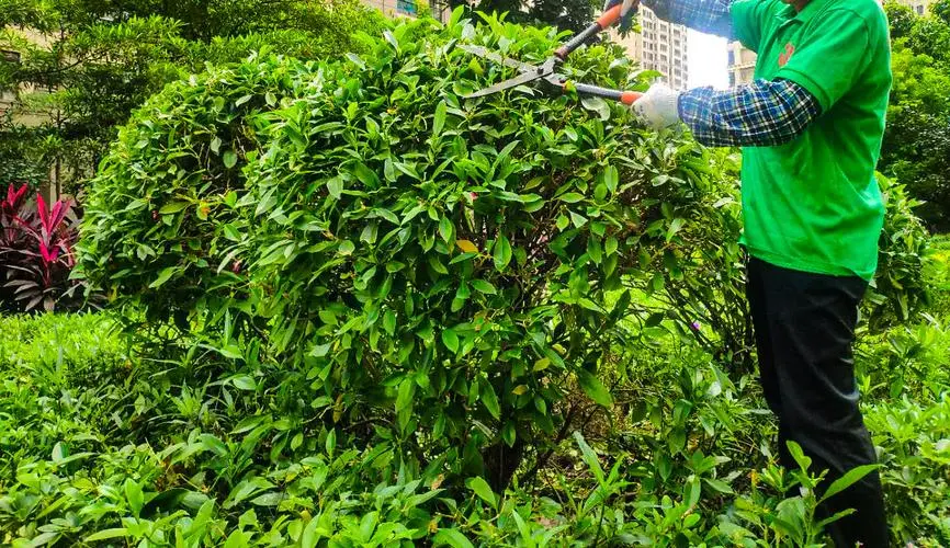 安阳做市政绿化要哪些资质证