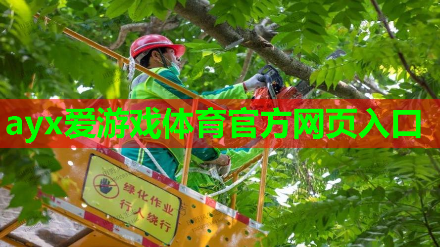 大石桥园林景观设计